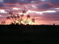 /album/fotogaleria/atardecer-jpg/